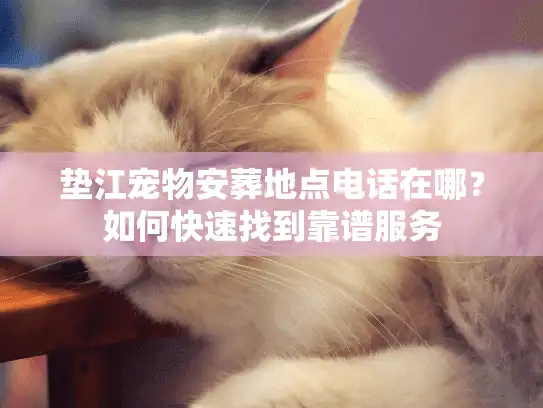 垫江宠物安葬地点电话在哪?如何快速找到靠谱服务 垫江宠物安葬地点电话在哪?如何快速找到靠谱服务