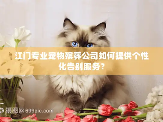 江门专业宠物殡葬公司如何提供个性化告别服务？