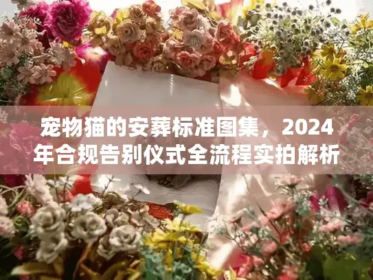宠物猫的安葬标准图集,2024年合规告别仪式全流程实拍解析 宠物猫的安葬标准图集,2024年合规告别仪式全流程实拍解析