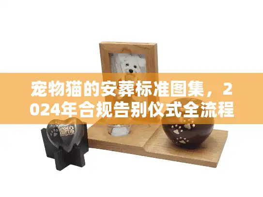 宠物猫的安葬标准图集,2024年合规告别仪式全流程实拍解析 宠物猫的安葬标准图集,2024年合规告别仪式全流程实拍解析