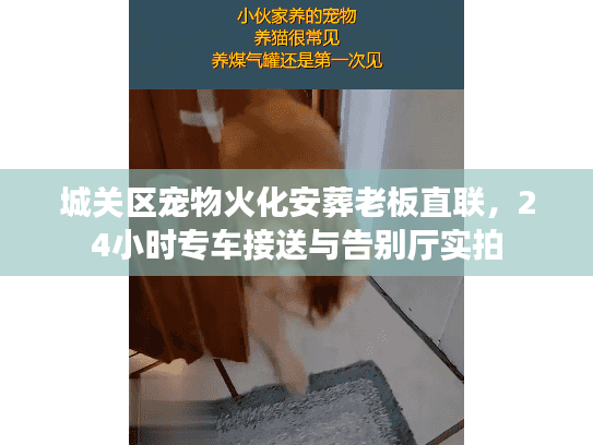 城关区宠物火化安葬老板直联，24小时专车接送与告别厅实拍