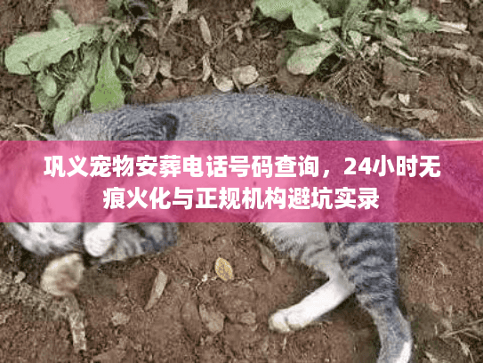 巩义宠物安葬电话号码查询,24小时无痕火化与正规机构避坑实录 巩义宠物安葬电话号码查询,24小时无痕火化与正规机构避坑实录