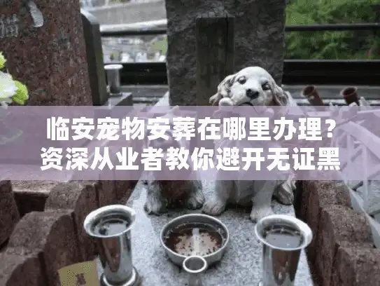 临安宠物安葬在哪里办理?资深从业者教你避开无证黑坑 临安宠物安葬在哪里办理?资深从业者教你避开无证黑坑