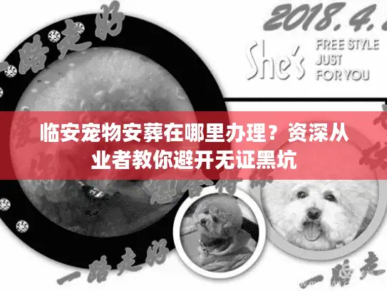 临安宠物安葬在哪里办理?资深从业者教你避开无证黑坑 临安宠物安葬在哪里办理?资深从业者教你避开无证黑坑