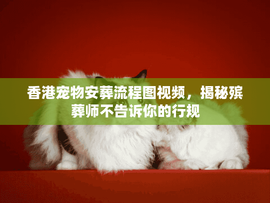 香港宠物安葬流程图视频,揭秘殡葬师不告诉你的行规 香港宠物安葬流程图视频,揭秘殡葬师不告诉你的行规