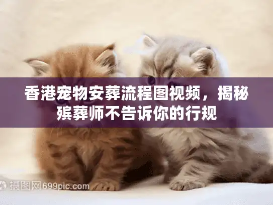 香港宠物安葬流程图视频,揭秘殡葬师不告诉你的行规 香港宠物安葬流程图视频,揭秘殡葬师不告诉你的行规