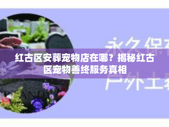 红古区安葬宠物店在哪？揭秘红古区宠物善终服务真相