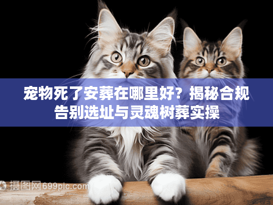 宠物死了安葬在哪里好？揭秘合规告别选址与灵魂树葬实操