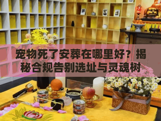 宠物死了安葬在哪里好？揭秘合规告别选址与灵魂树葬实操