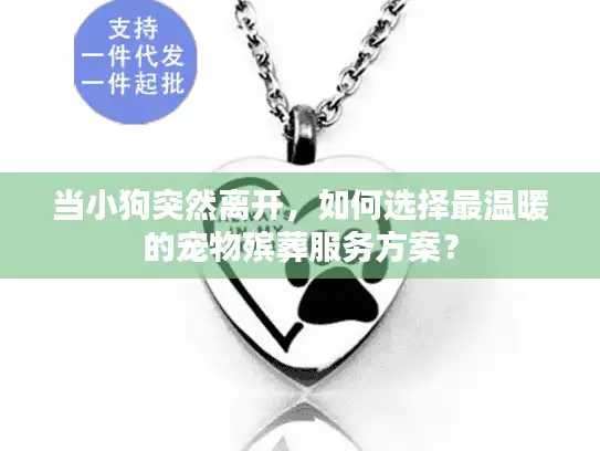 当小狗突然离开，如何选择最温暖的宠物殡葬服务方案？