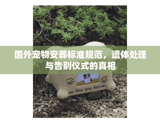 国外宠物安葬标准规范,遗体处理与告别仪式的真相 国外宠物安葬标准规范,遗体处理与告别仪式的真相