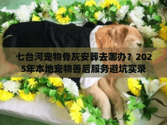 七台河宠物骨灰安葬去哪办？2025年本地宠物善后服务避坑实录