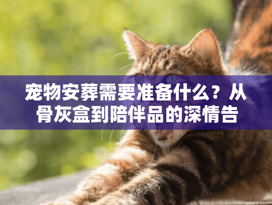 宠物安葬需要准备什么?从骨灰盒到陪伴品的深情告别 宠物安葬需要准备什么?从骨灰盒到陪伴品的深情告别