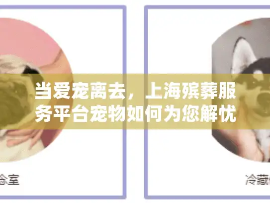 当爱宠离去，上海殡葬服务平台宠物如何为您解忧？