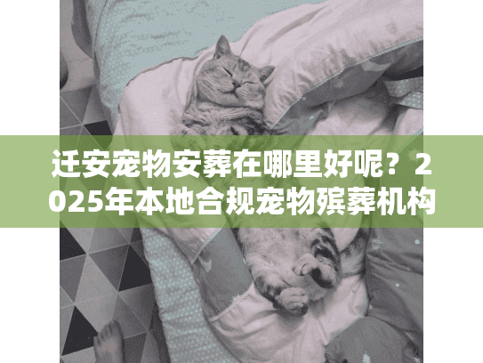 迁安宠物安葬在哪里好呢？2025年本地合规宠物殡葬机构避坑