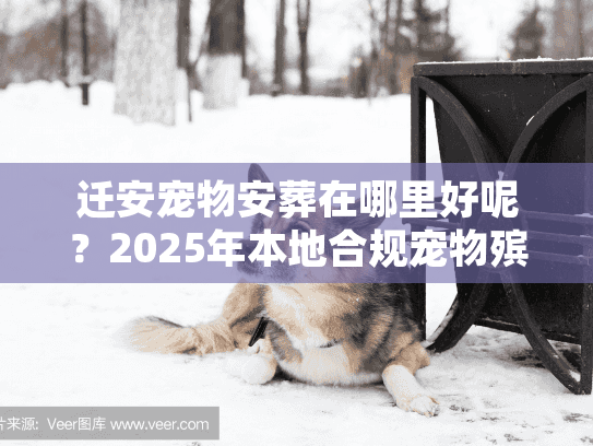 迁安宠物安葬在哪里好呢？2025年本地合规宠物殡葬机构避坑