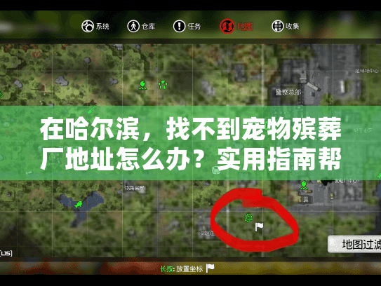 在哈尔滨，找不到宠物殡葬厂地址怎么办？实用指南帮你快速解决问题