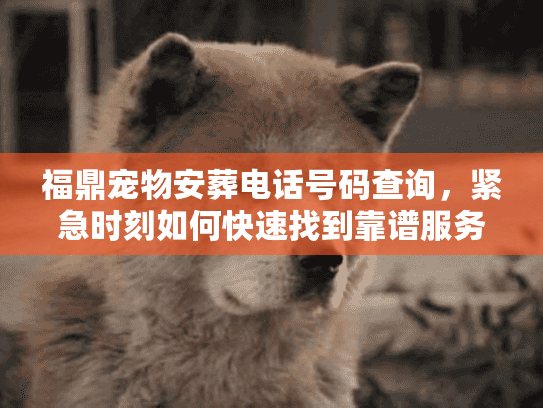 福鼎宠物安葬电话号码查询，紧急时刻如何快速找到靠谱服务？