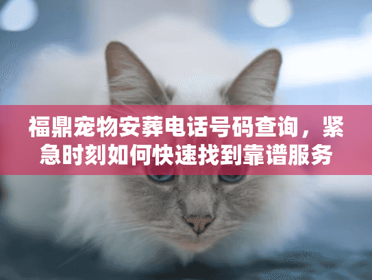 福鼎宠物安葬电话号码查询，紧急时刻如何快速找到靠谱服务？