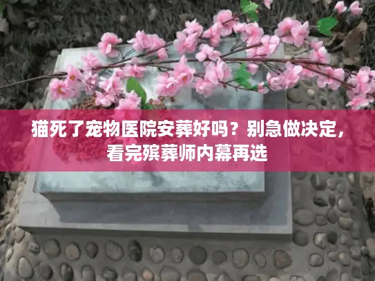 猫死了宠物医院安葬好吗?别急做决定,看完殡葬师内幕再选 猫死了宠物医院安葬好吗?别急做决定,看完殡葬师内幕再选