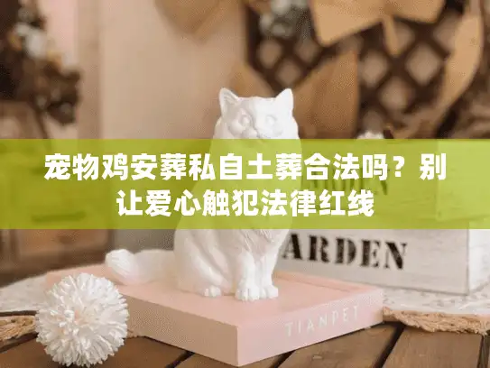 宠物鸡安葬私自土葬合法吗?别让爱心触犯法律红线 宠物鸡安葬私自土葬合法吗?别让爱心触犯法律红线