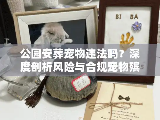 公园安葬宠物违法吗？深度剖析风险与合规宠物殡葬替代方案