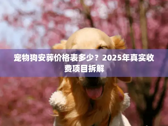 宠物狗安葬价格表多少?2025年真实收费项目拆解 宠物狗安葬价格表多少?2025年真实收费项目拆解
