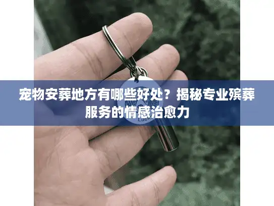 宠物安葬地方有哪些好处？揭秘专业殡葬服务的情感治愈力