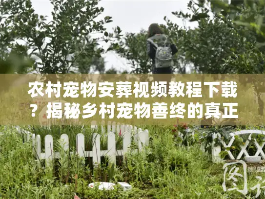 农村宠物安葬视频教程下载？揭秘乡村宠物善终的真正避坑实录