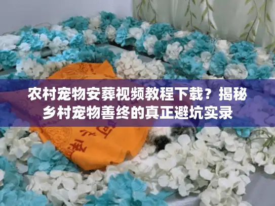 农村宠物安葬视频教程下载？揭秘乡村宠物善终的真正避坑实录