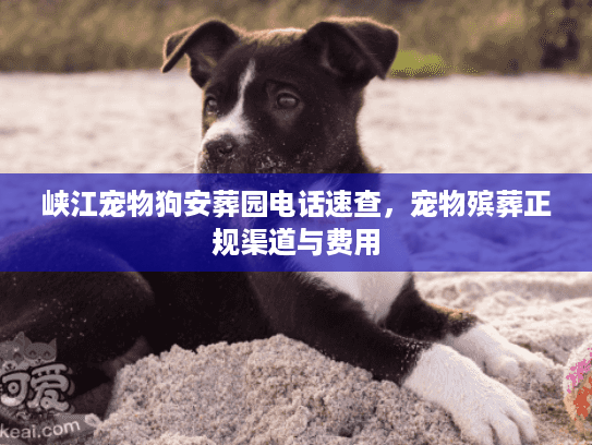 峡江宠物狗安葬园电话速查,宠物殡葬正规渠道与费用 峡江宠物狗安葬园电话速查,宠物殡葬正规渠道与费用