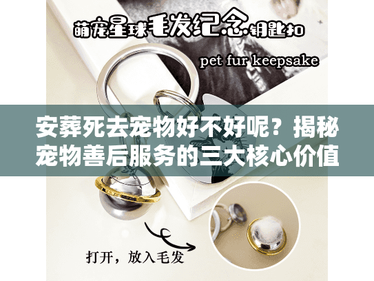 安葬死去宠物好不好呢？揭秘宠物善后服务的三大核心价值