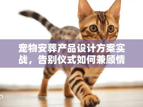 宠物安葬产品设计方案实战，告别仪式如何兼顾情感与美学