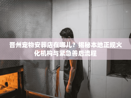 晋州宠物安葬店在哪儿？揭秘本地正规火化机构与紧急善后流程