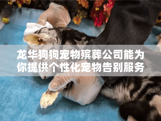 龙华狗狗宠物殡葬公司能为你提供个性化宠物告别服务吗? 龙华狗狗宠物殡葬公司能为你提供个性化宠物告别服务吗?