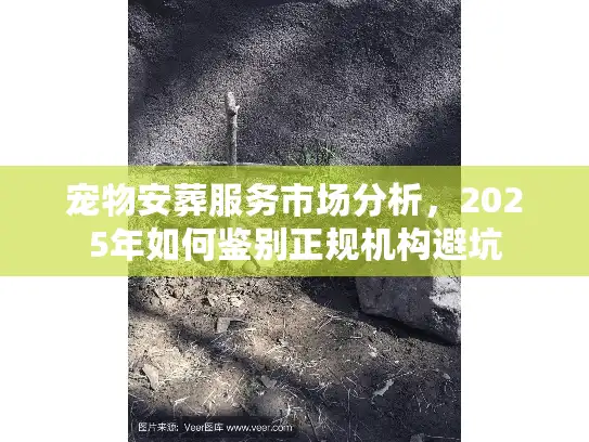 宠物安葬服务市场分析，2025年如何鉴别正规机构避坑