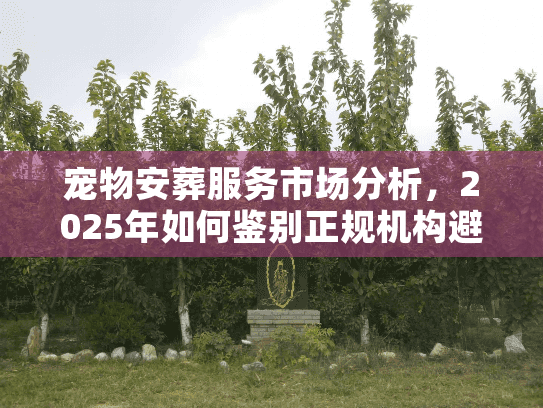 宠物安葬服务市场分析，2025年如何鉴别正规机构避坑