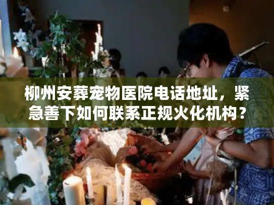 柳州安葬宠物医院电话地址，紧急善下如何联系正规火化机构？