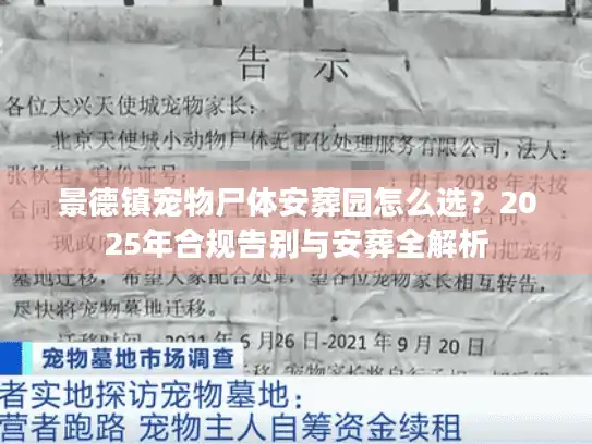 景德镇宠物尸体安葬园怎么选？2025年合规告别与安葬全解析