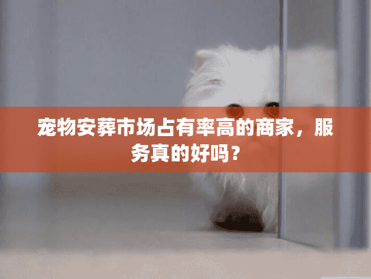 宠物安葬市场占有率高的商家,服务真的好吗? 宠物安葬市场占有率高的商家,服务真的好吗?
