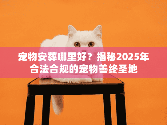 宠物安葬哪里好？揭秘2025年合法合规的宠物善终圣地