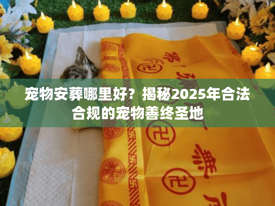 宠物安葬哪里好？揭秘2025年合法合规的宠物善终圣地