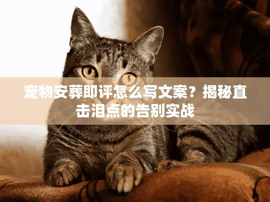宠物安葬即评怎么写文案?揭秘直击泪点的告别实战 宠物安葬即评怎么写文案?揭秘直击泪点的告别实战