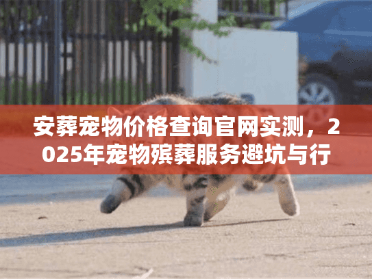 安葬宠物价格查询官网实测，2025年宠物殡葬服务避坑与行情揭秘