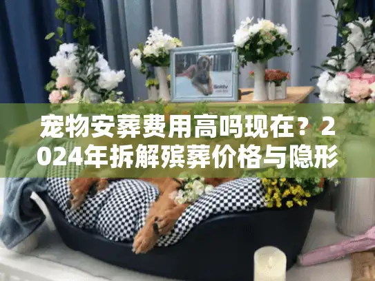 宠物安葬费用高吗现在？2024年拆解殡葬价格与隐形消费