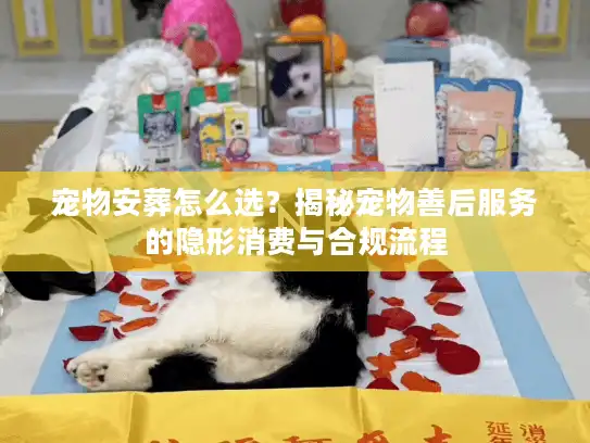 宠物安葬怎么选？揭秘宠物善后服务的隐形消费与合规流程