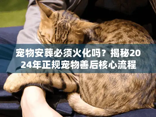 宠物安葬必须火化吗？揭秘2024年正规宠物善后核心流程