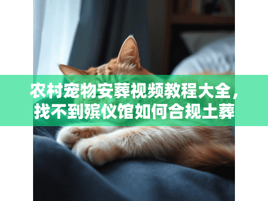 农村宠物安葬视频教程大全，找不到殡仪馆如何合规土葬
