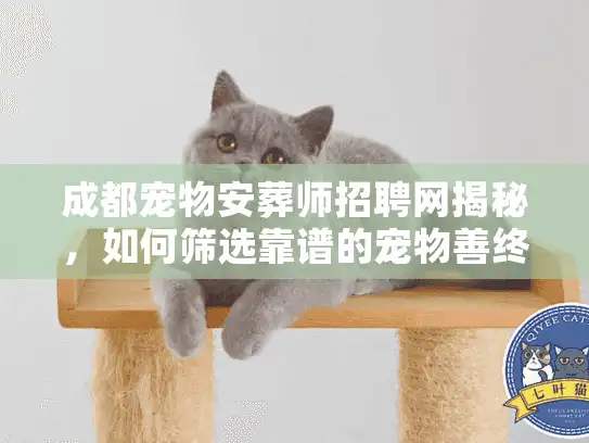 成都宠物安葬师招聘网揭秘，如何筛选靠谱的宠物善终服务？