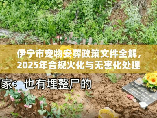 伊宁市宠物安葬政策文件全解，2025年合规火化与无害化处理门道